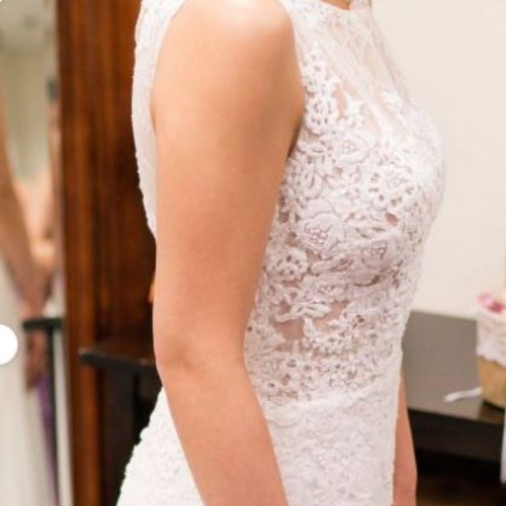 Pronovias Oseleta Wedding Dress - Picture 5 of 15